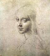 LEONARDO da Vinci Head of a girl oil painting